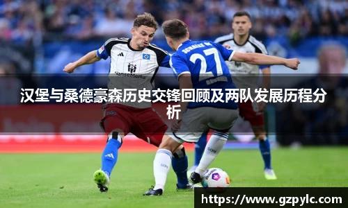 快盈VIII