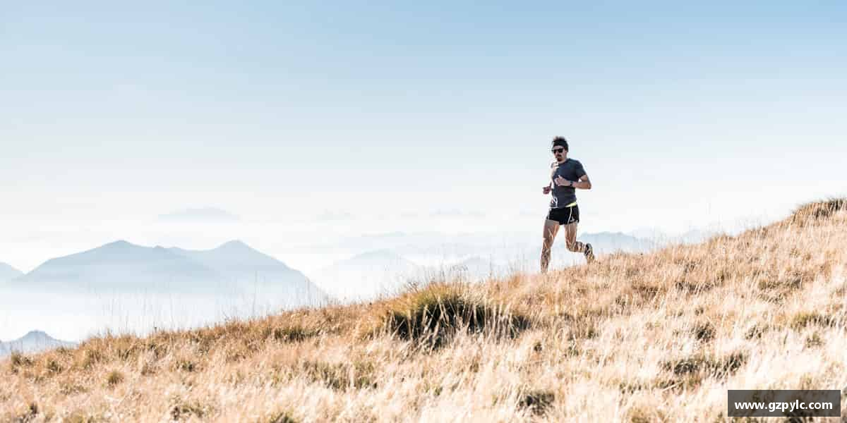 认识BB贝博艾弗森